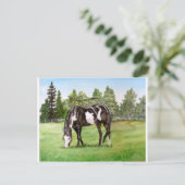 Grazing op het veld van zwart/wit verf paard/pony briefkaart (Staand voorkant)