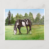 Grazing op het veld van zwart/wit verf paard/pony briefkaart (Voorkant)
