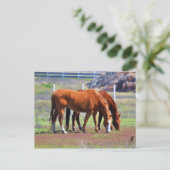 Grazing Paar Briefkaart (Staand voorkant)