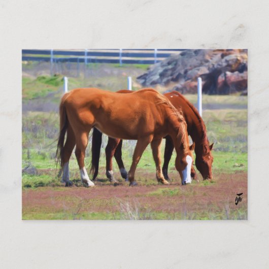 Grazing Paar Briefkaart (Voorkant)