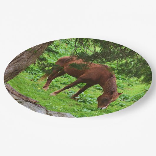 Grazing Paard Papier Bord (Gekanteld)