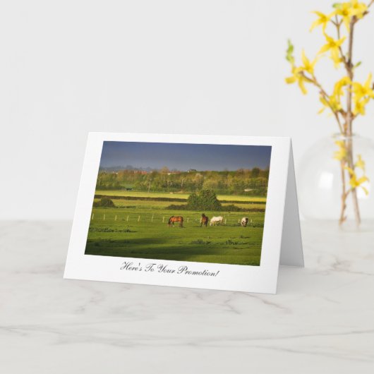 Grazing paarden, gefeliciteerd met je promotie kaart (Gele Bloem)