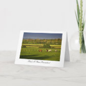 Grazing paarden, gefeliciteerd met je promotie kaart (Voorkant)