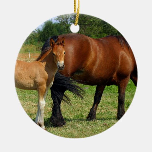 Grazing Paardenfamilie Keramisch Ornament (Voorkant)