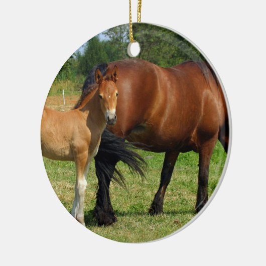 Grazing Paardenfamilie Keramisch Ornament (Links)