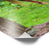 Grazing Paardenfoto afdrukken Foto Afdruk (Hoek)