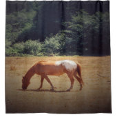 Grazing Palomino.... Douchegordijn (Voorkant)