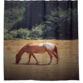 Grazing Palomino.... Douchegordijn