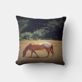 Grazing Palomino.... Kussen