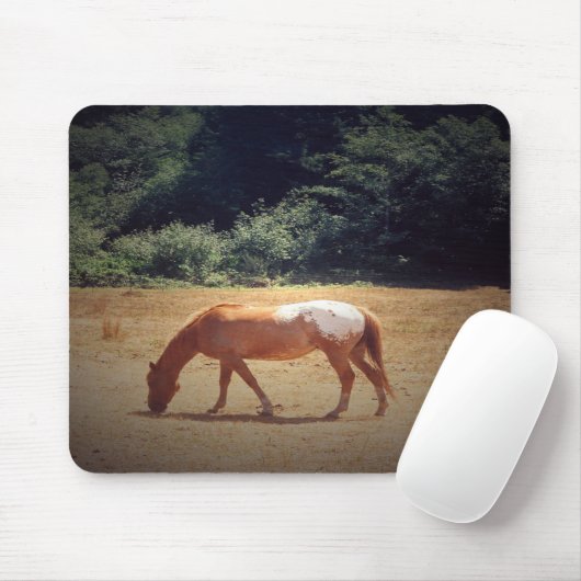 Grazing Palomino.... Muismat (Met muis)