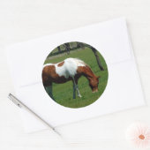 Grazing Pinto Ronde Sticker (Envelop)