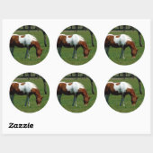 Grazing Pinto Ronde Sticker (Vel)