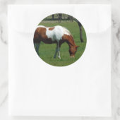 Grazing Pinto Ronde Sticker (Tas)