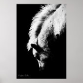 Grazing Pony, fijne kunstfoto Poster (Voorkant)