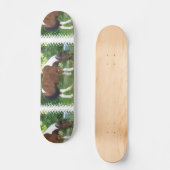 Grazing Pony Skateboard (Voorkant)