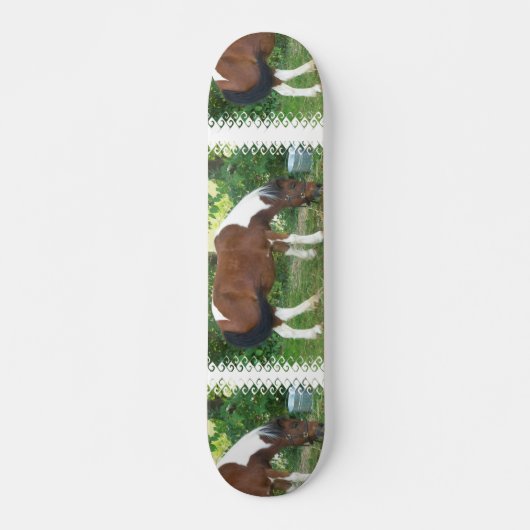 Grazing Pony Skateboard (Voorkant)