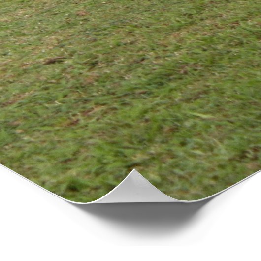 Grazing Poster (Hoek)