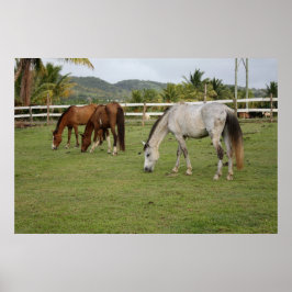 Grazing Poster