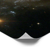 Grazing-teller Poster (Hoek)