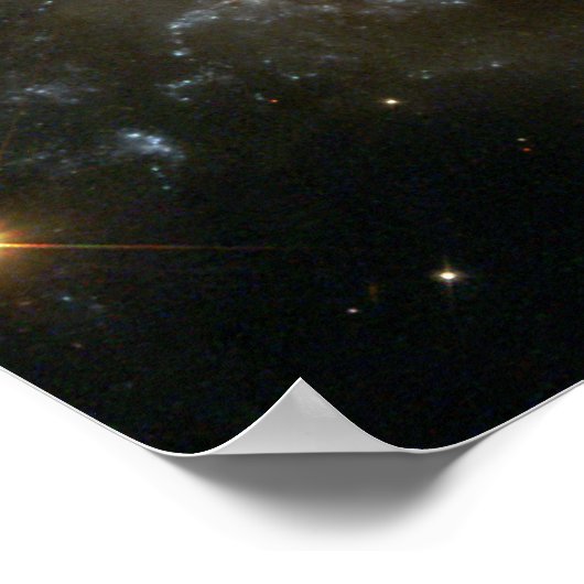 Grazing-teller Poster (Hoek)