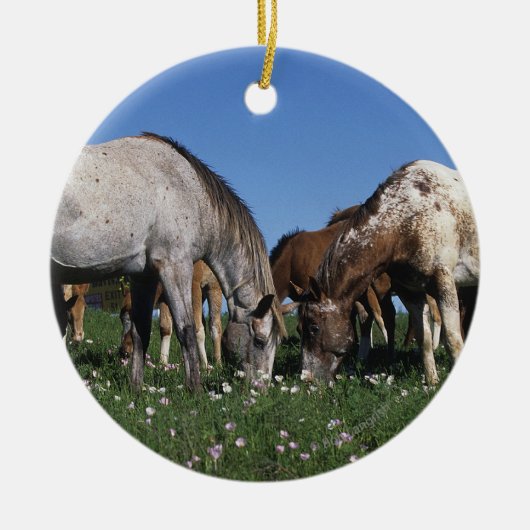 Grazing van Appaloosa-paarden Keramisch Ornament (Voorkant)