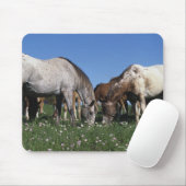 Grazing van Appaloosa-paarden Muismat (Met muis)