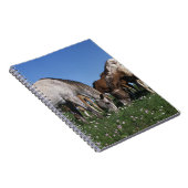 Grazing van Appaloosa-paarden Notitieboek (Rechterzijde)