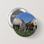 Grazing van Appaloosa-paarden Ronde Button 5,7 Cm (Voorkant /achterkant)