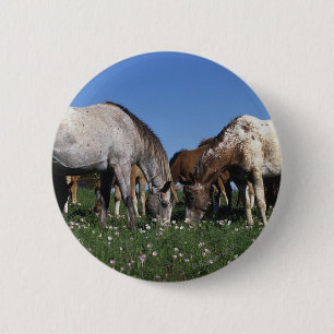 Grazing van Appaloosa-paarden Ronde Button 5,7 Cm