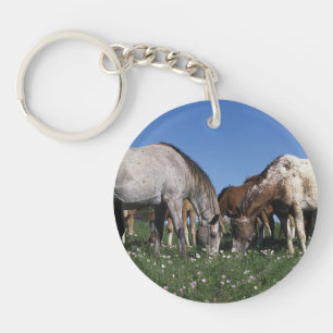 Grazing van Appaloosa-paarden Sleutelhanger