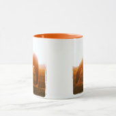 Grazing van AQHA-paarden op zonsondergang Mok (Midden)