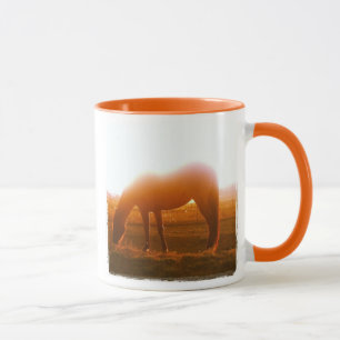 Grazing van AQHA-paarden op zonsondergang Mok