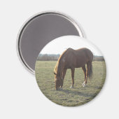 Grazing van boerderij paarden magneet (Voorkant / Achterkant)