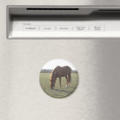 Grazing van boerderij paarden magneet (Insitu (Vaatwasser))