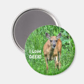 Grazing van meer en meer wild voor buitenshuis magneet (Voorkant / Achterkant)