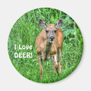 Grazing van meer en meer wild voor buitenshuis magneet