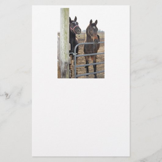 Grazing van paarden briefpapier (Voorkant)