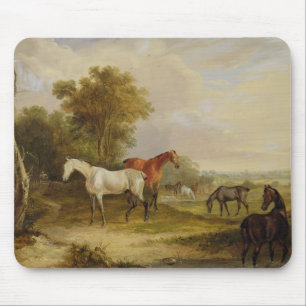 Grazing van paarden: Een grijze Stallion met Mares Muismat