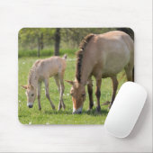 Grazing van paarden en dieren van Przewalski Muismat (Met muis)