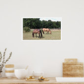 Grazing van paarden in de baai en de dun poster (Keuken)