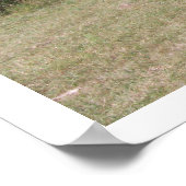 Grazing van paarden in de baai en de dun poster (Hoek)