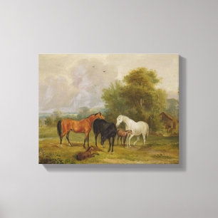Grazing van paarden: Mares and Foals in a Field (o Canvas Afdruk