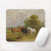 Grazing van paarden: Mares and Foals in a Field (o Muismat (Met muis)