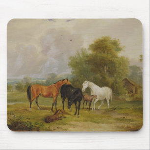 Grazing van paarden: Mares and Foals in a Field (o Muismat
