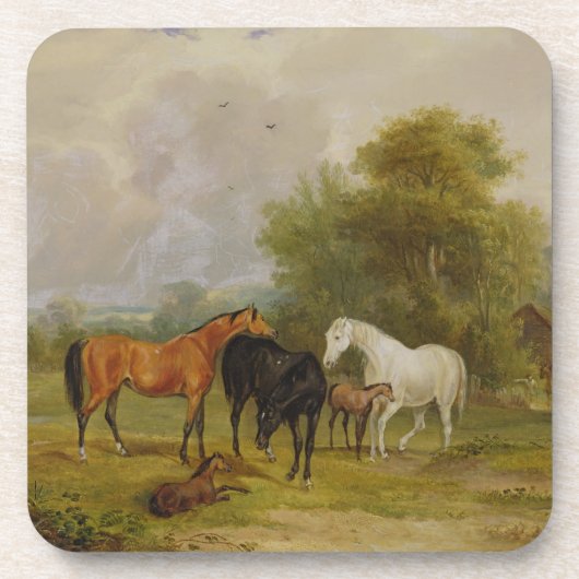 Grazing van paarden: Mares and Foals in a Field (o Onderzetter (Voorkant)