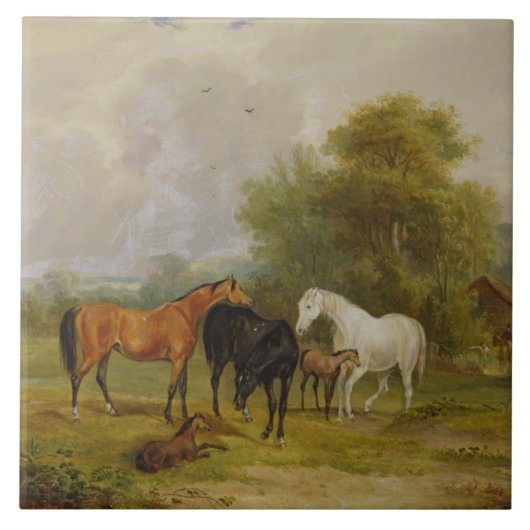 Grazing van paarden: Mares and Foals in a Field (o Tegeltje (Voorkant)