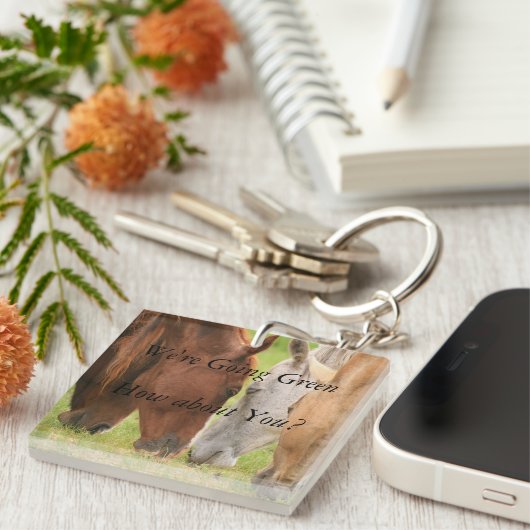 Grazing van paarden sleutelhanger (Voorkant Rechts)