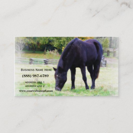 Grazing van zwarte paarden visitekaartje (Voorkant)