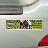 Grazing Verf Paard met gele bloemen Bumpersticker (Op auto)