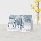 Grazing Veulen Wenskaart_Motivatie Kaart (Gele Bloem)